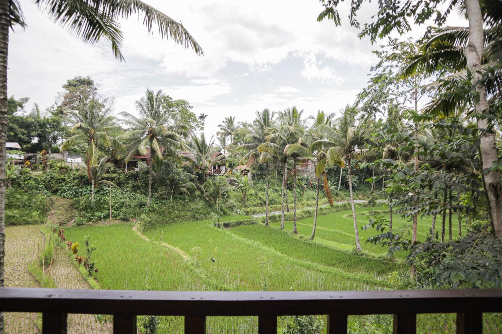 Nea Cottage Lombok Tetebatu Luaran gambar