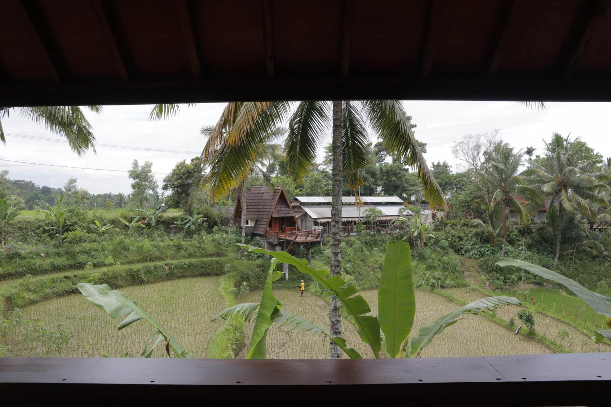 Nea Cottage Lombok Tetebatu Luaran gambar
