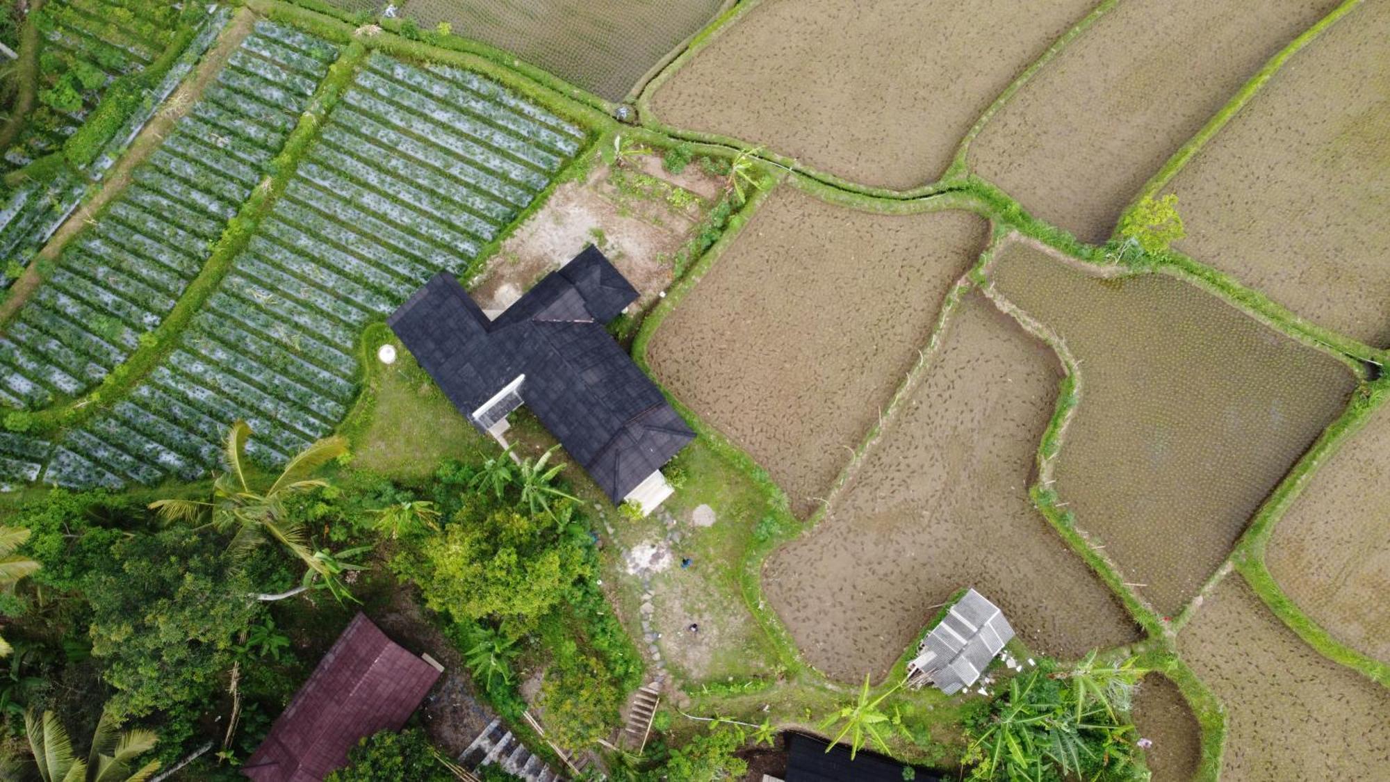 Nea Cottage Lombok Tetebatu Luaran gambar
