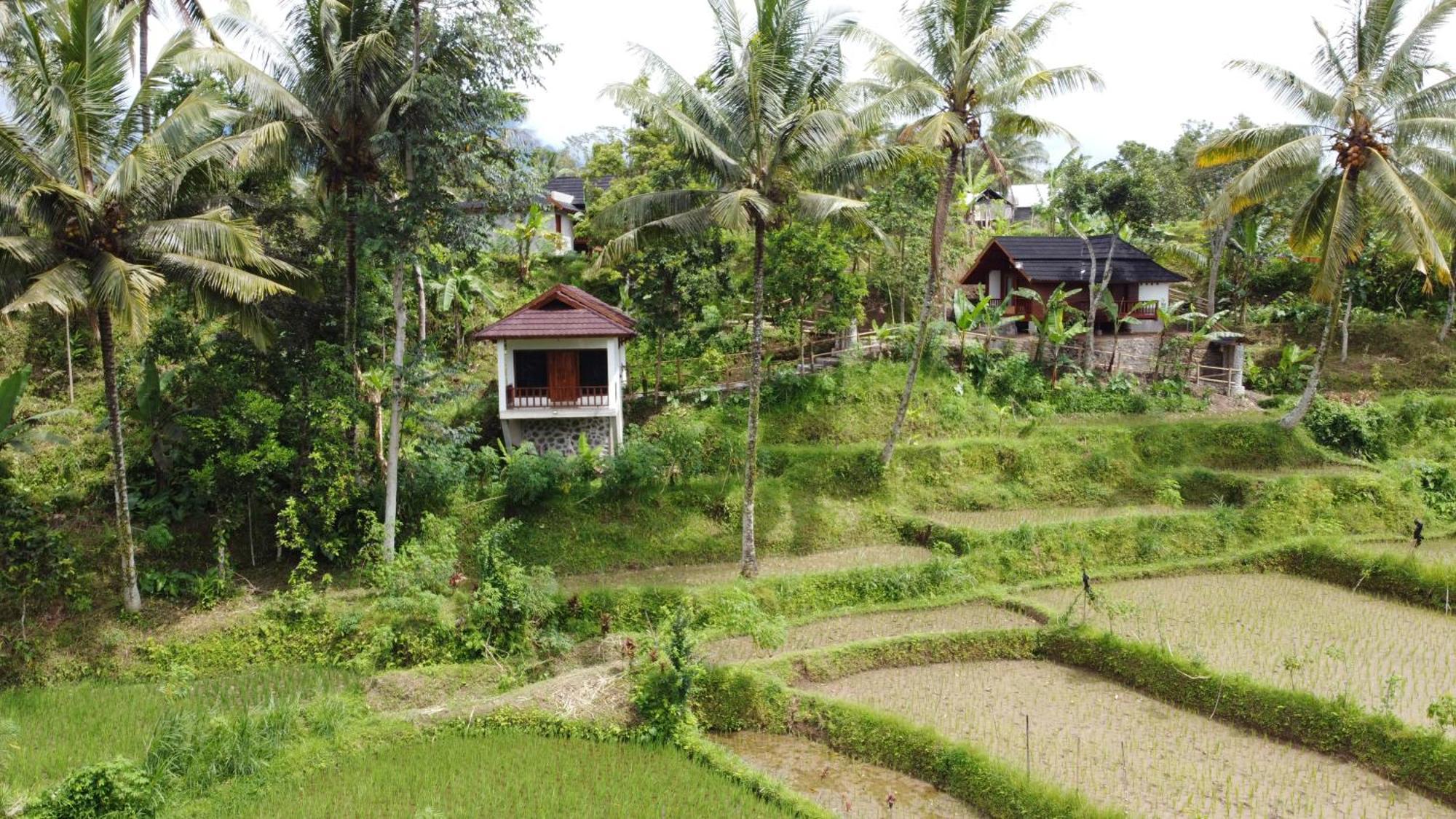 Nea Cottage Lombok Tetebatu Luaran gambar