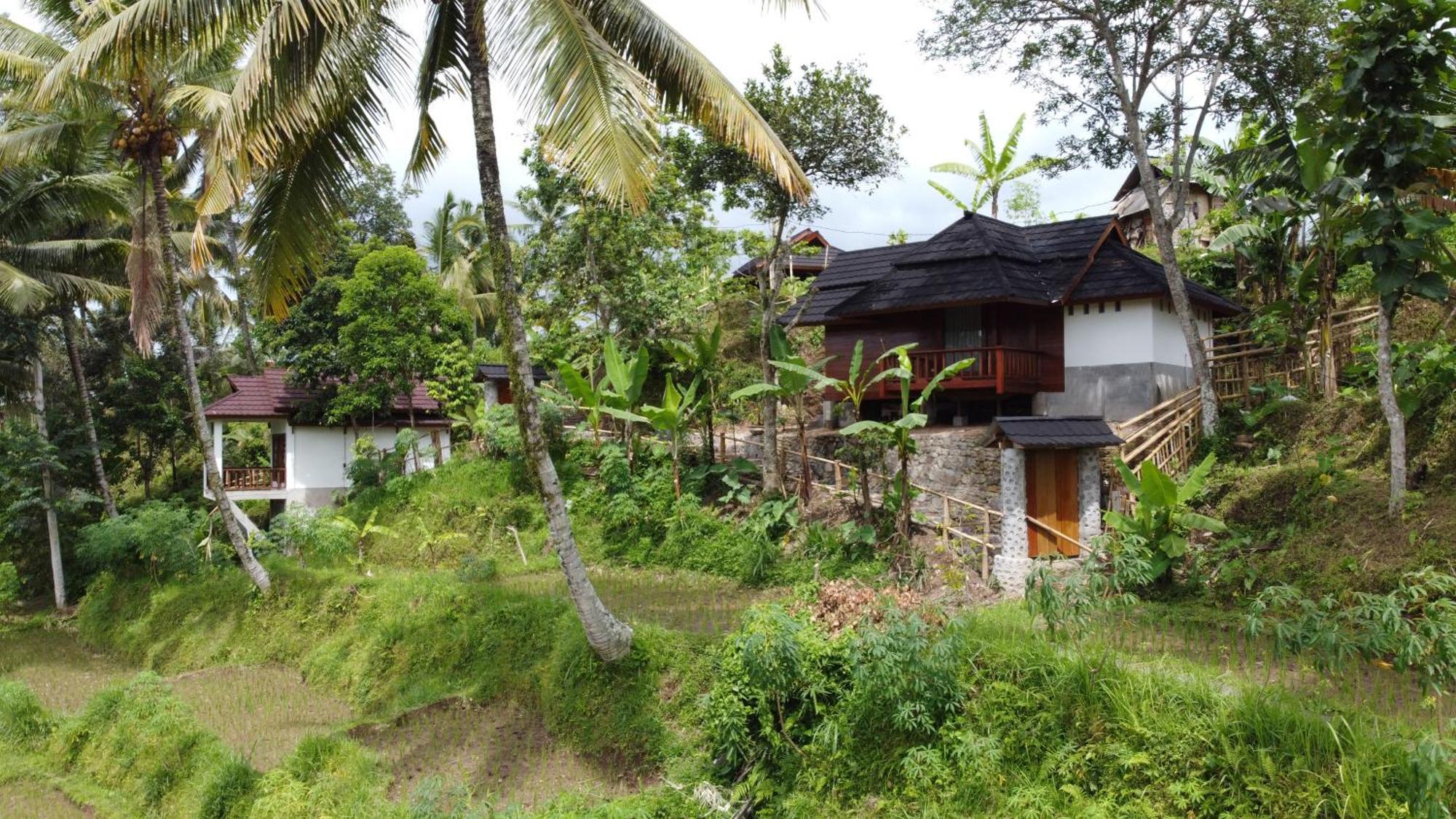 Nea Cottage Lombok Tetebatu Luaran gambar