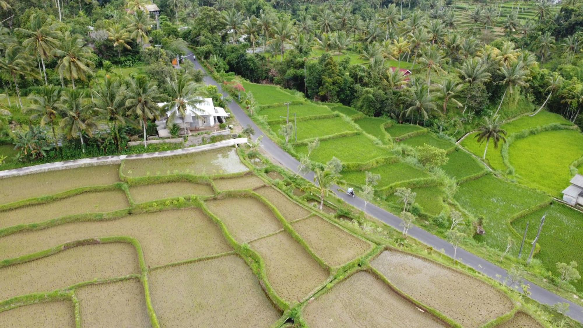Nea Cottage Lombok Tetebatu Luaran gambar