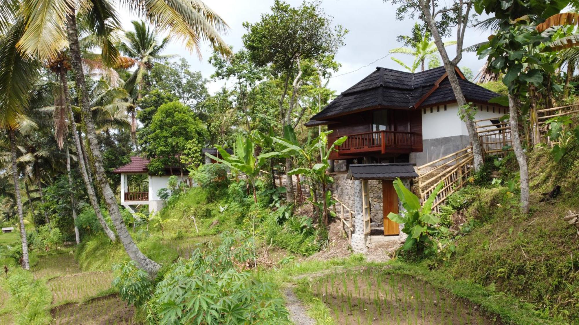 Nea Cottage Lombok Tetebatu Luaran gambar