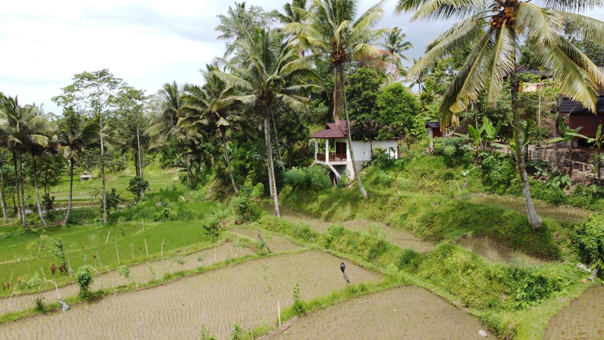 Nea Cottage Lombok Tetebatu Luaran gambar