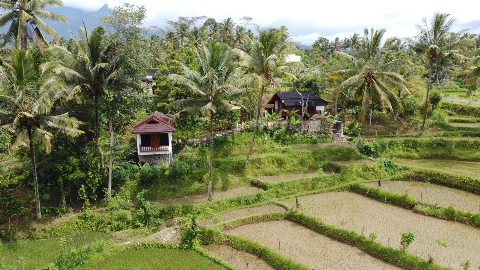 Nea Cottage Lombok Tetebatu Luaran gambar