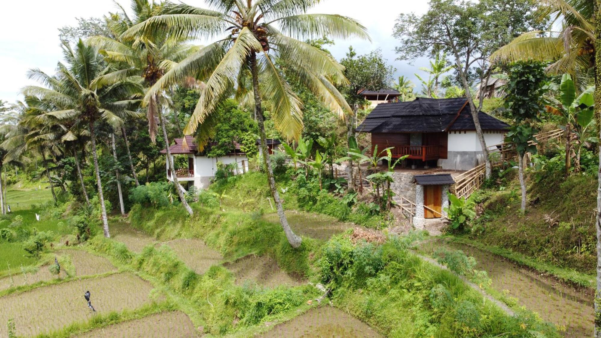 Nea Cottage Lombok Tetebatu Luaran gambar