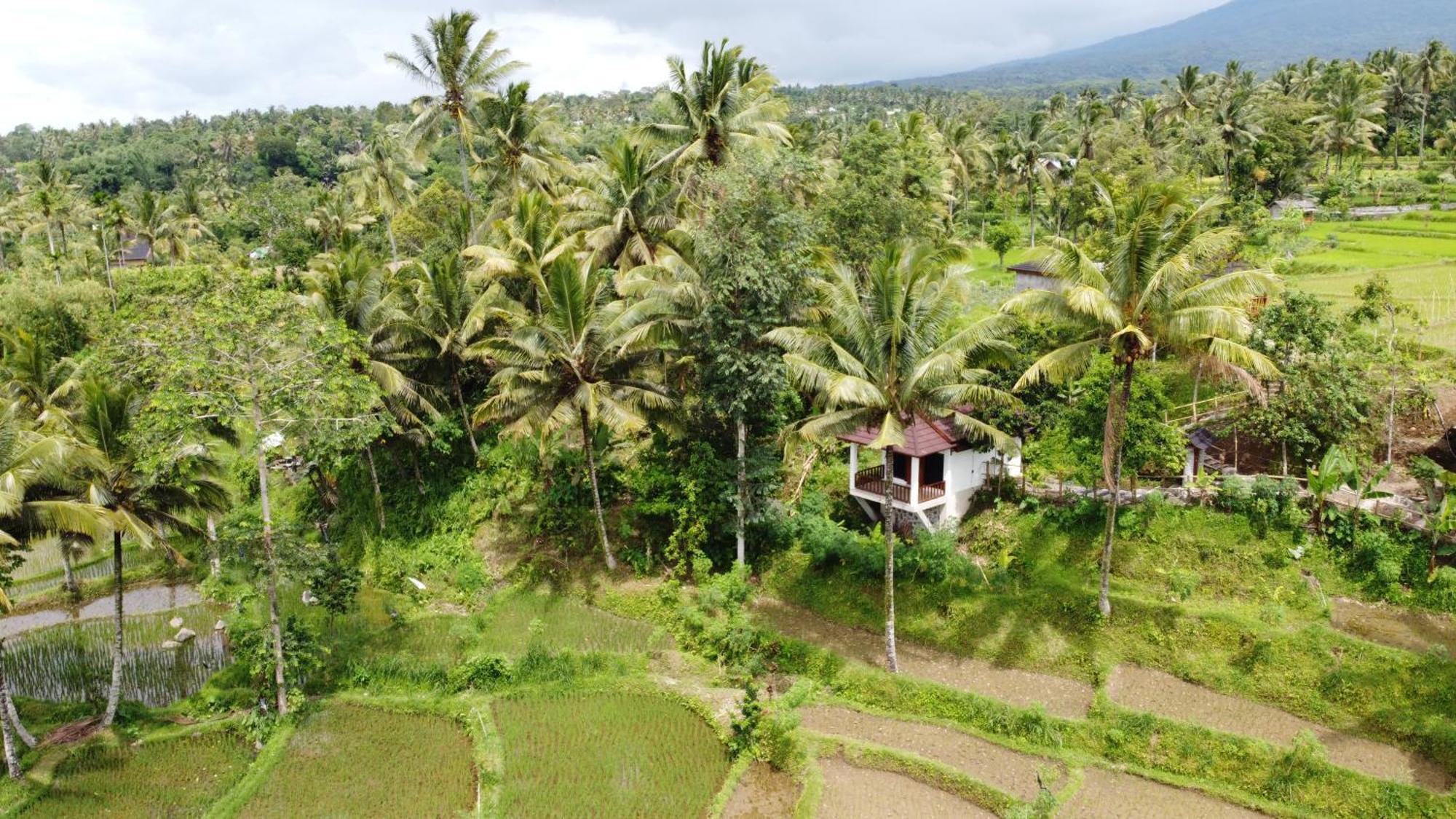 Nea Cottage Lombok Tetebatu Luaran gambar