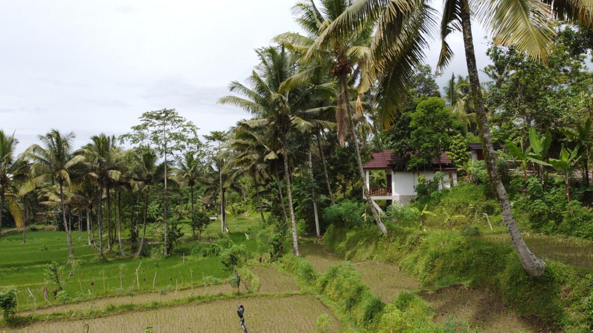 Nea Cottage Lombok Tetebatu Luaran gambar