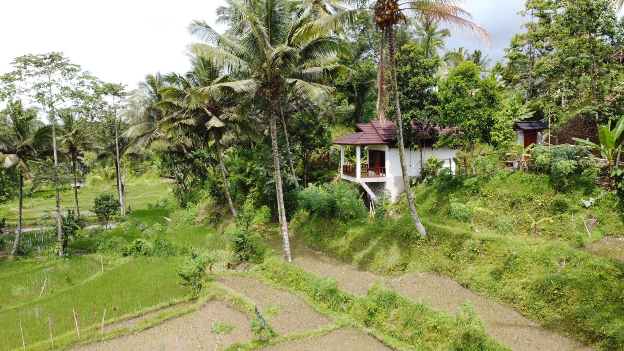 Nea Cottage Lombok Tetebatu Luaran gambar