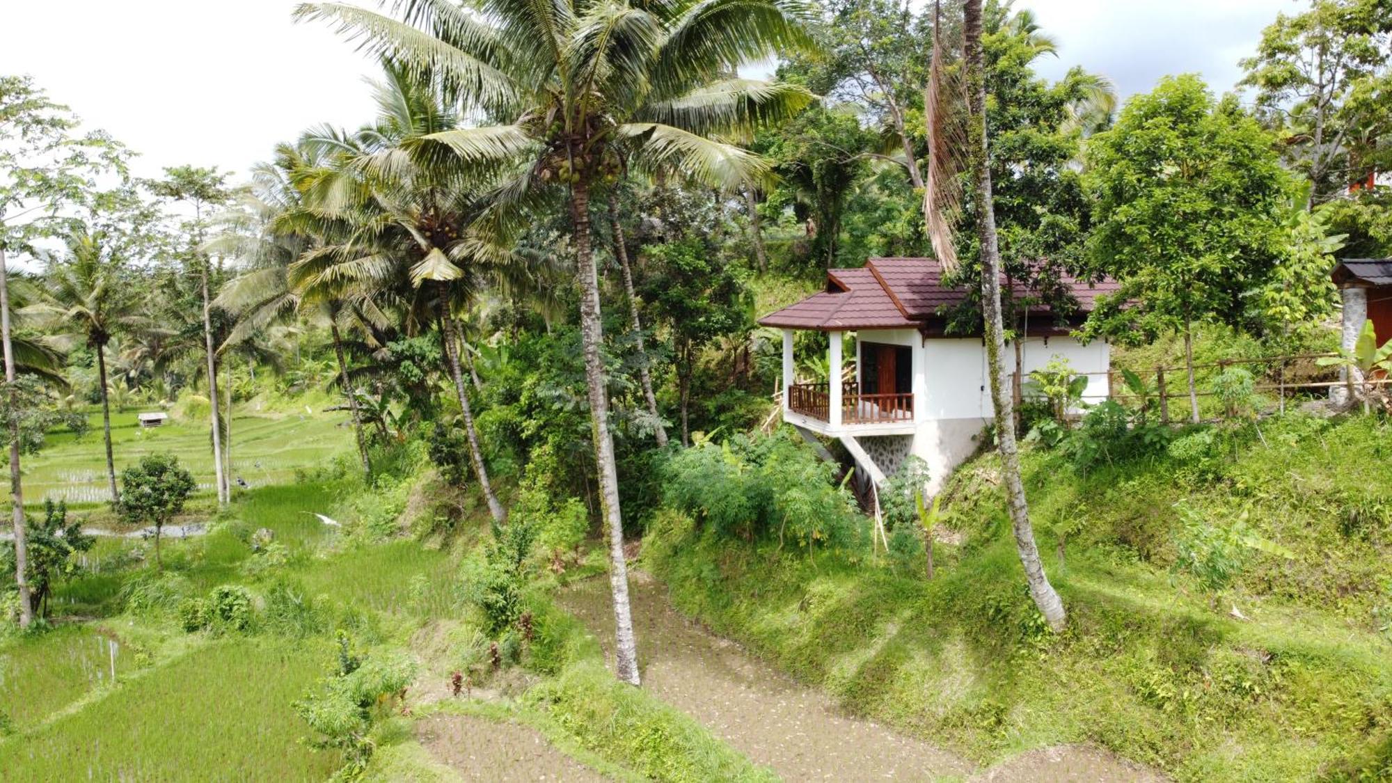 Nea Cottage Lombok Tetebatu Luaran gambar