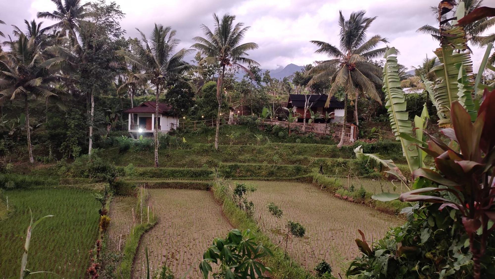 Nea Cottage Lombok Tetebatu Luaran gambar