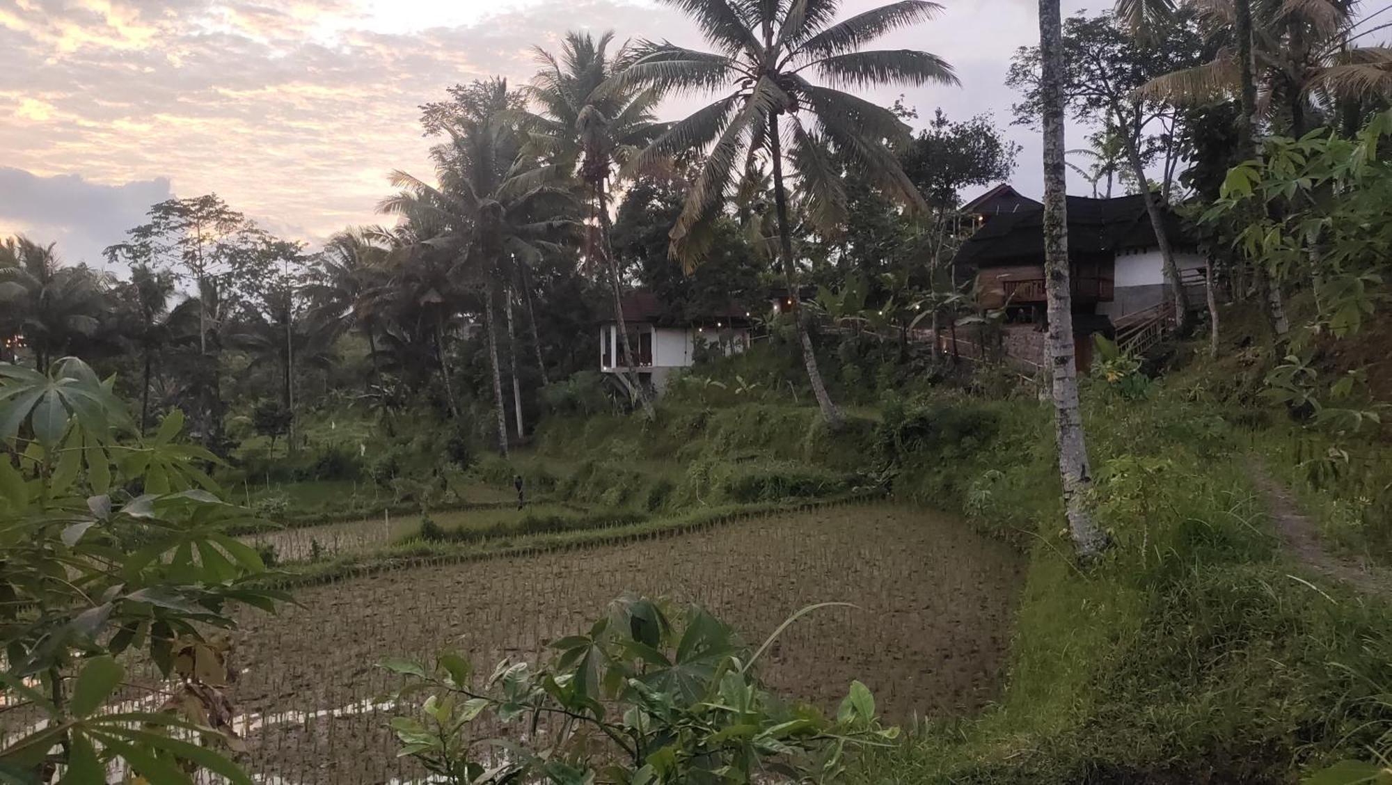 Nea Cottage Lombok Tetebatu Luaran gambar