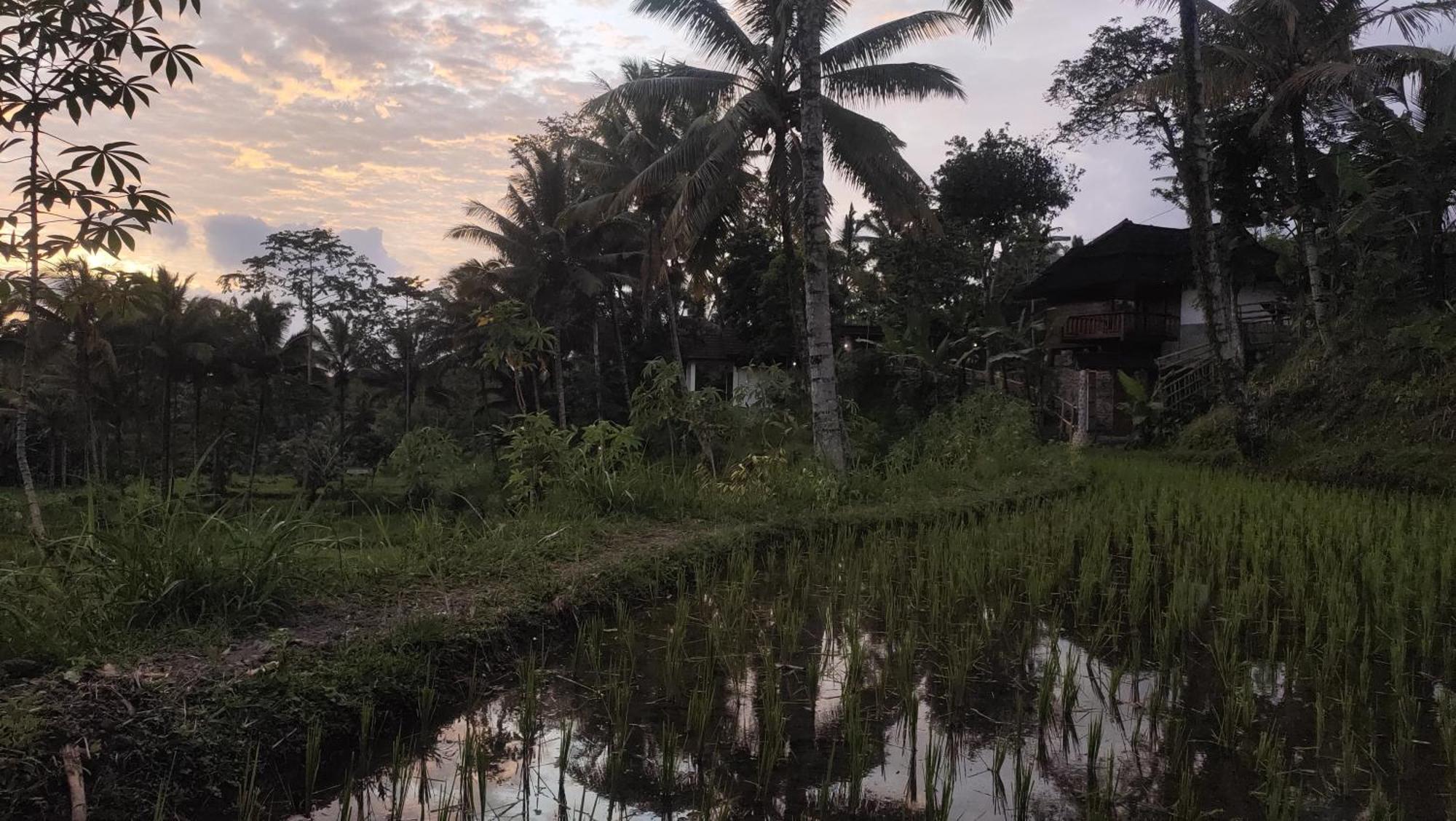 Nea Cottage Lombok Tetebatu Luaran gambar
