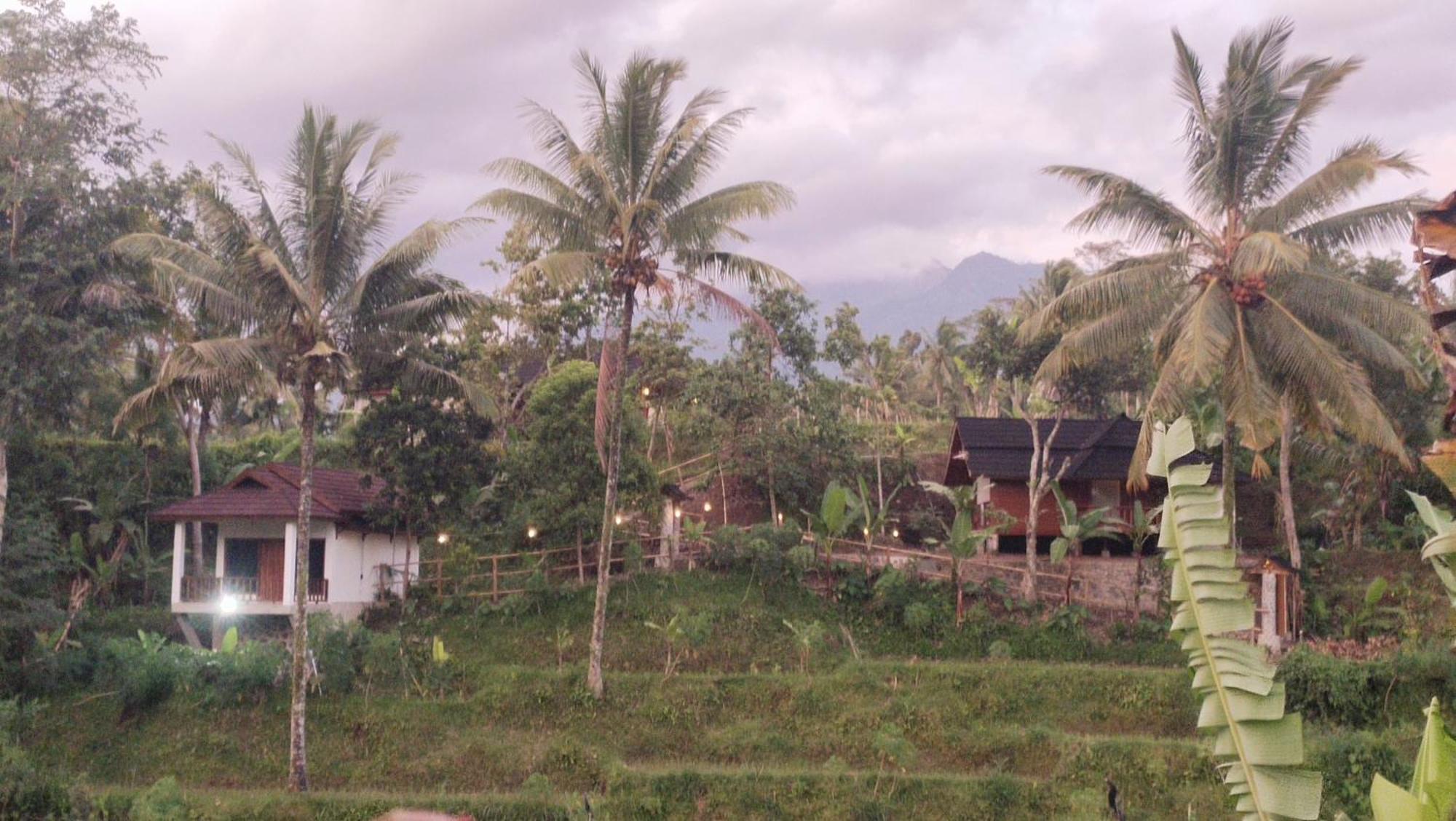 Nea Cottage Lombok Tetebatu Luaran gambar