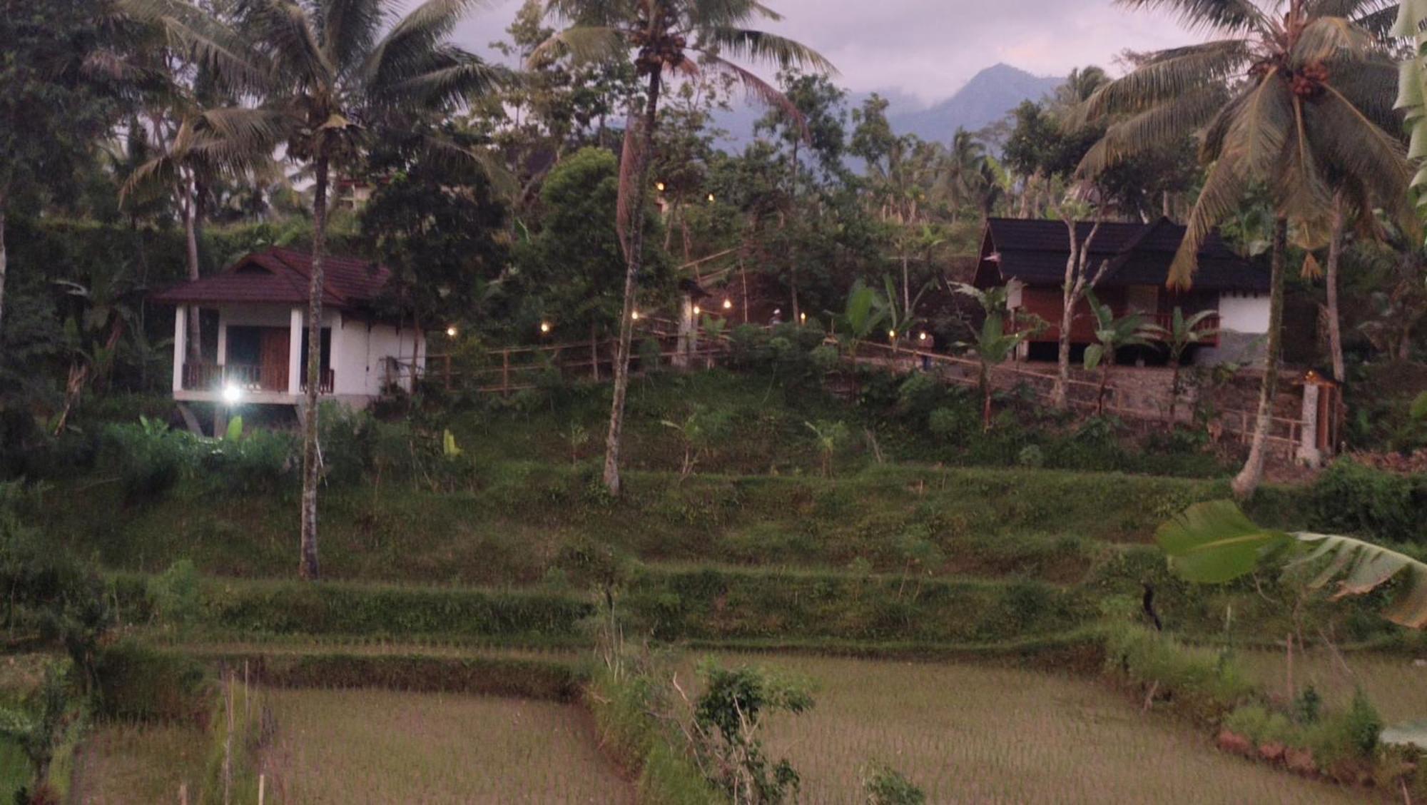 Nea Cottage Lombok Tetebatu Luaran gambar