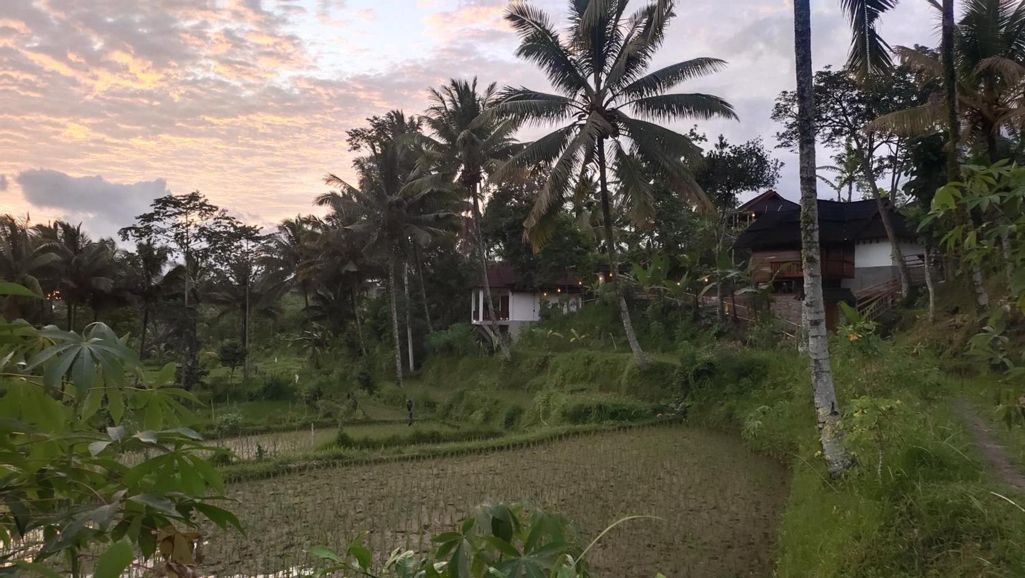 Nea Cottage Lombok Tetebatu Luaran gambar